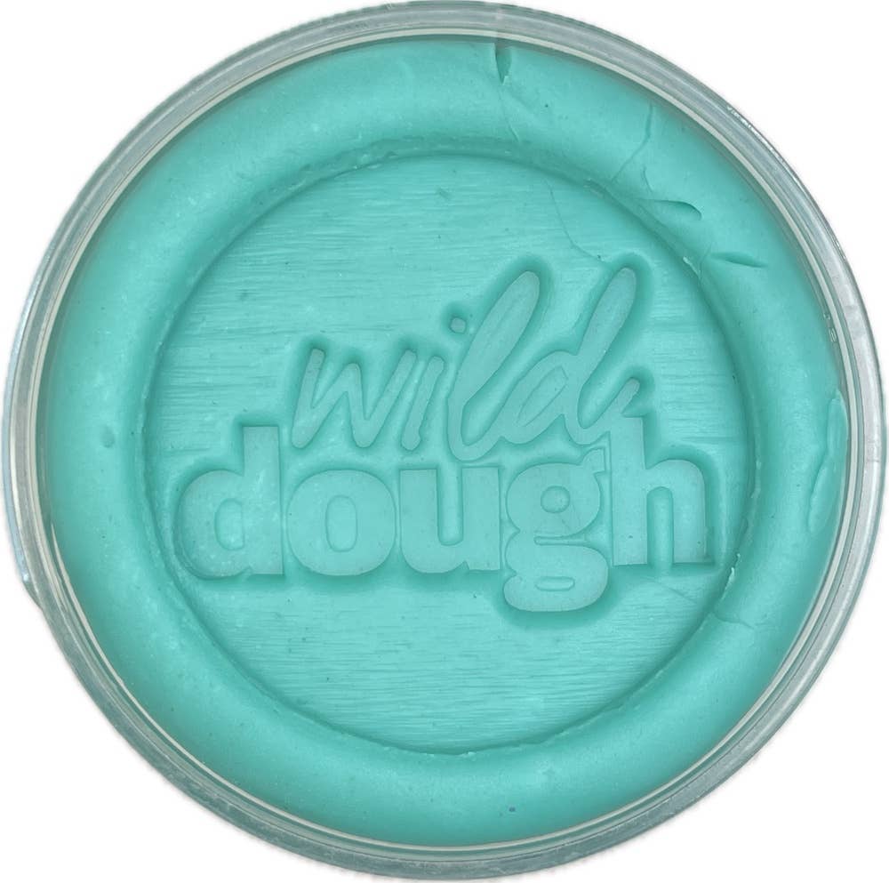 Sea Glass Teal Playdough (w/s)