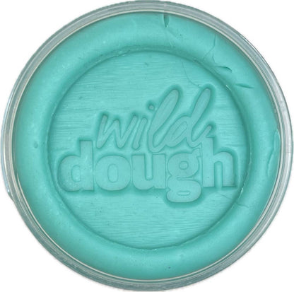 Sea Glass Teal Playdough (w/s)